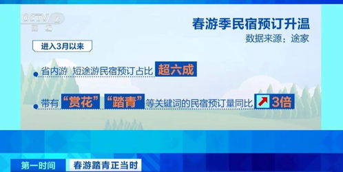 春暖花开时，三大潮流打卡新选择 花海、民宿与山地户外运动